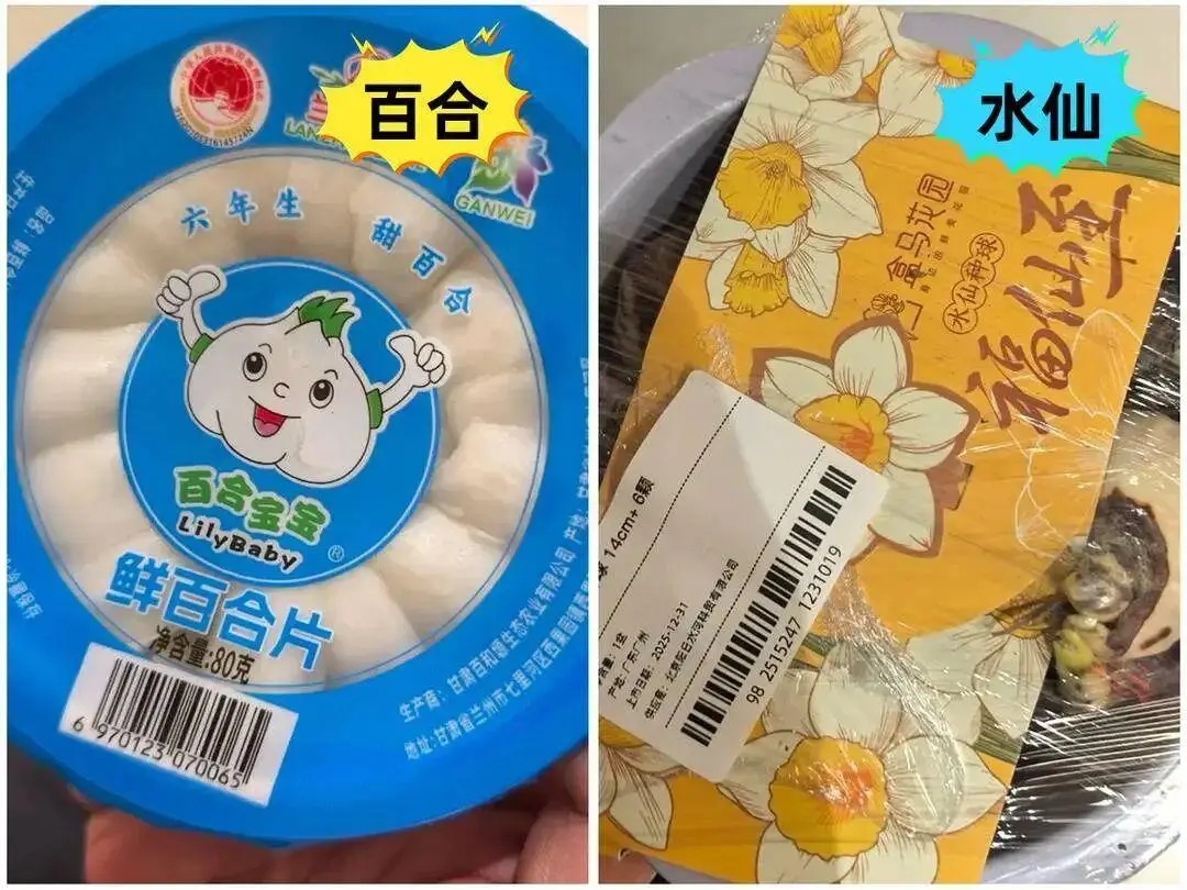 盒马误将水仙当百合配送致顾客中毒,官方公布处罚决定 盒马误将水仙当百合配送致顾客中毒,官方公布处罚决定