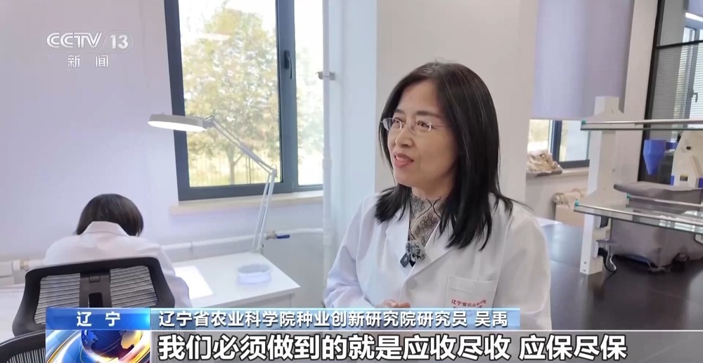 探秘东北最大“种子银行” 存50万份够用50年 探秘东北最大“种子银行” 存50万份够用50年