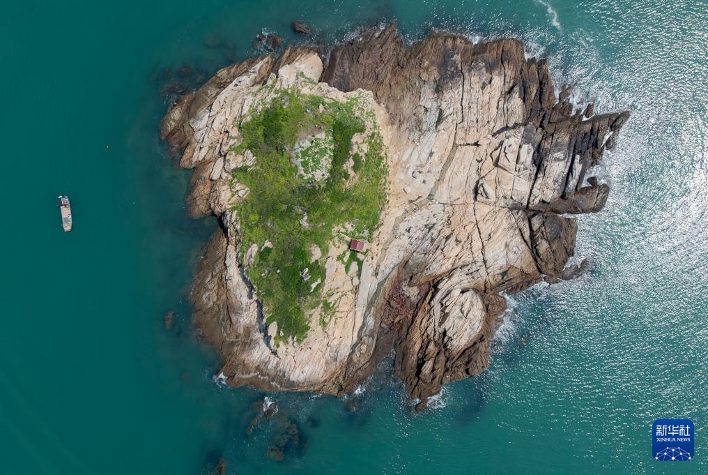 海岛“守鸟人” 海岛“守鸟人”