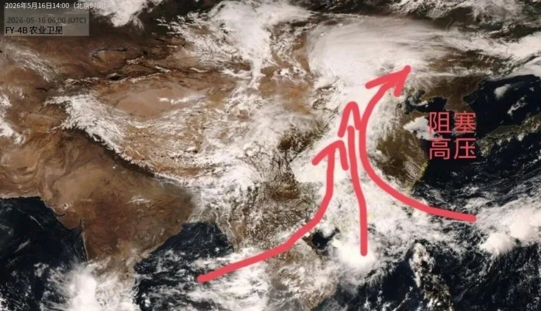 暴雨、大暴雨又来了！今年为啥这么强？
