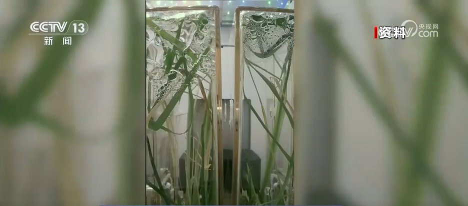 多项实(试)验、一年期驻留、多次出舱 看神二十三乘组到底有多忙? 多项实(试)验、一年期驻留、多次出舱 看神二十三乘组到底有多忙?