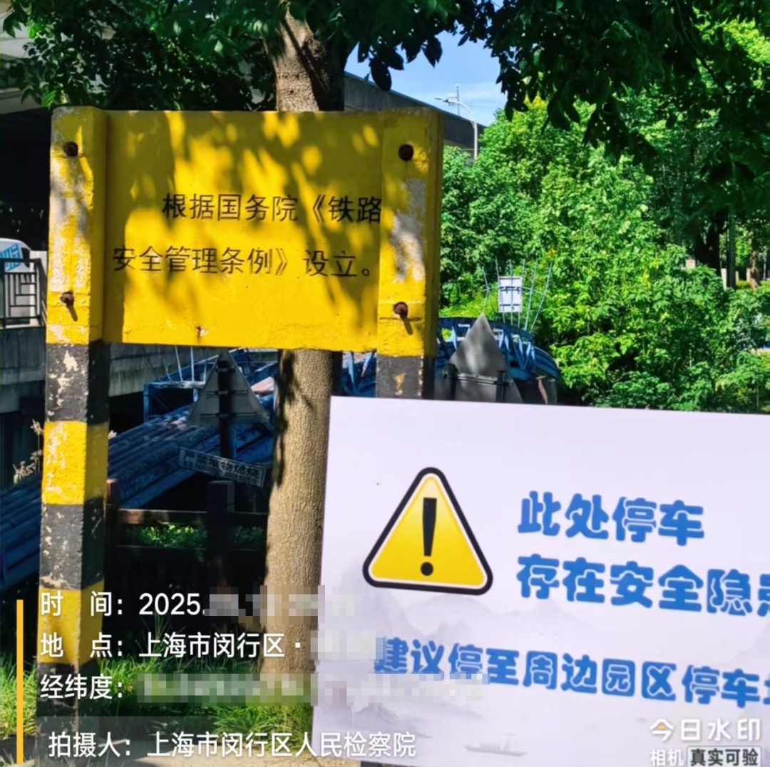上海500米长的林带,竟塞满百余辆车?检察官出手 上海500米长的林带,竟塞满百余辆车?检察官出手