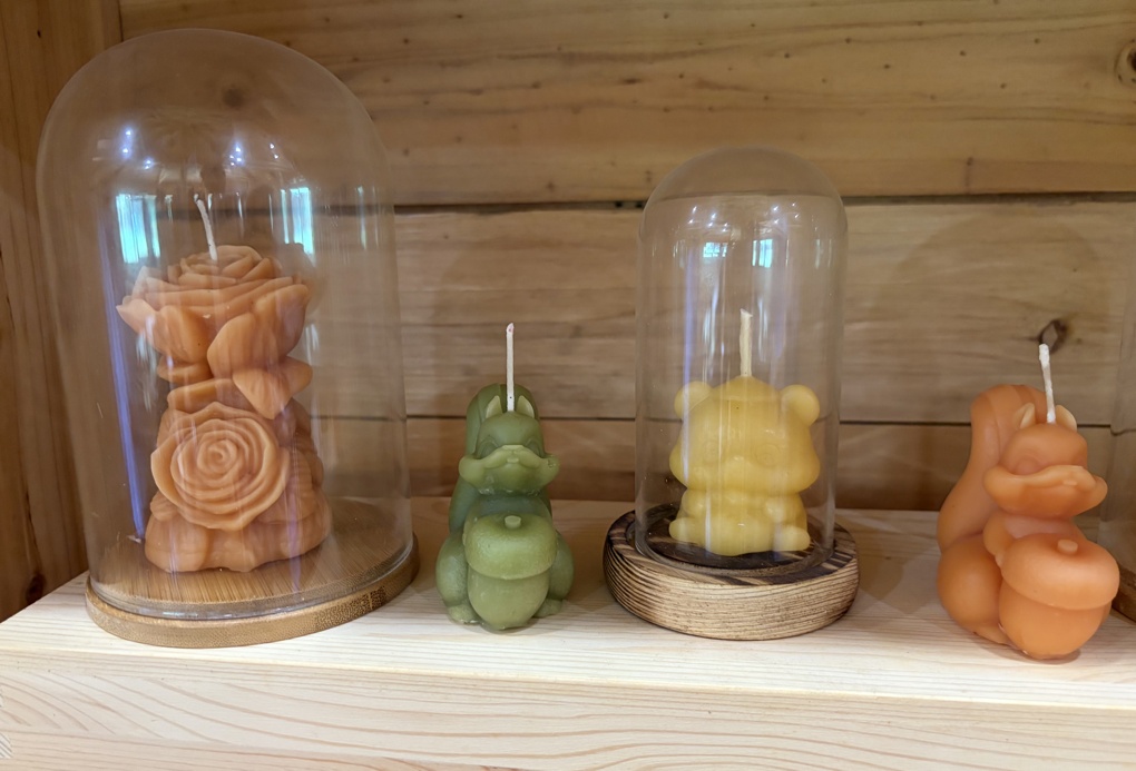 神奇变身！熊猫粑粑竟然能用来造纸、做香薰蜡烛
