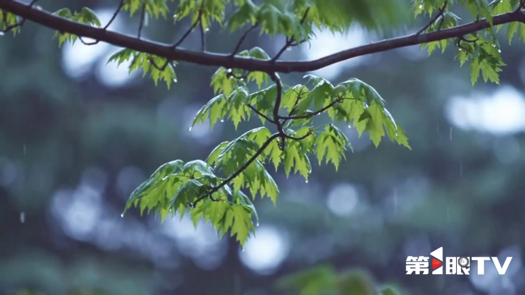 高考首日，重庆中到暴雨！考试时段部分地区有雷电