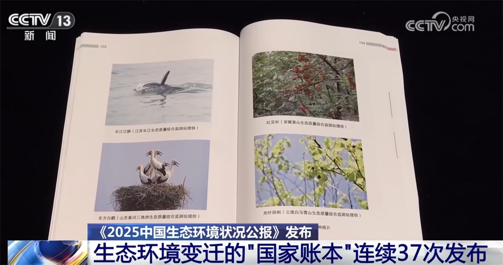 亮眼数字勾勒2025年中国生态环境状况“成绩单” 绘就美丽中国“新画卷”
