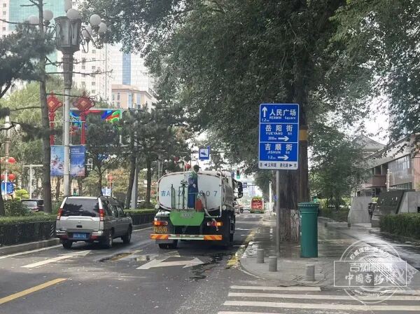 长春街头杨树为何打上“吊瓶”? 长春街头杨树为何打上“吊瓶”?