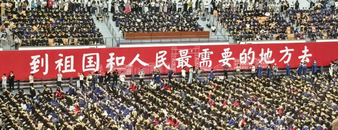 “奶奶的麦穗终于丰收了！”这届毕业季，笑着笑着就哭了……