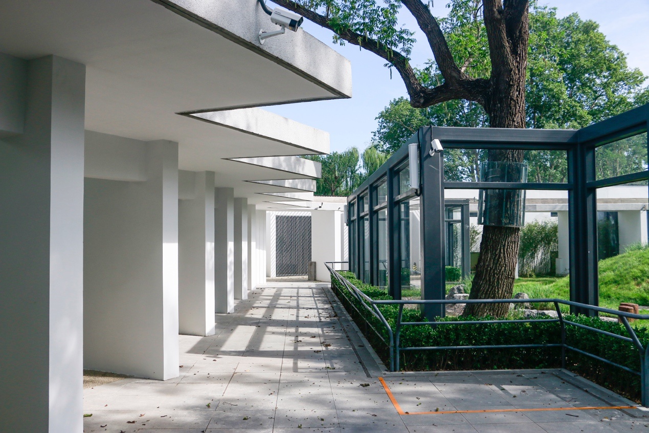 北京动物园萌兰等5只大熊猫已入住新家 新馆新景抢先看 北京动物园萌兰等5只大熊猫已入住新家 新馆新景抢先看