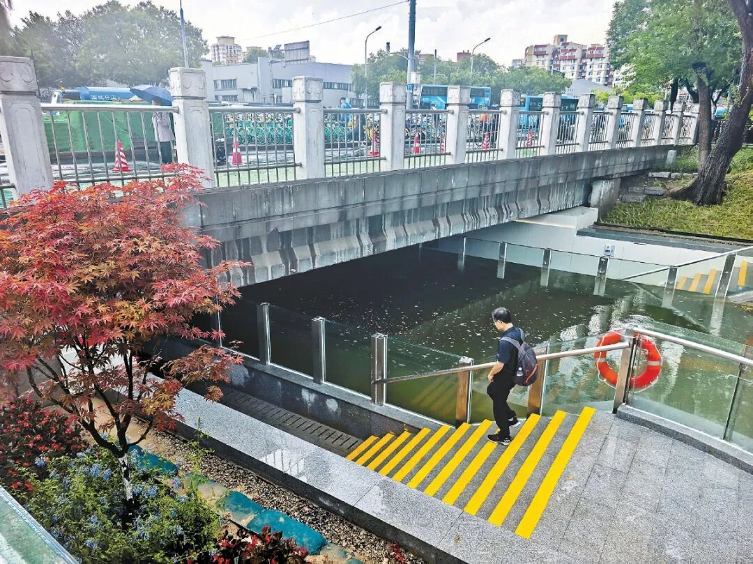 北京这座桥下多了个“水族馆”，走着就能看水观鱼