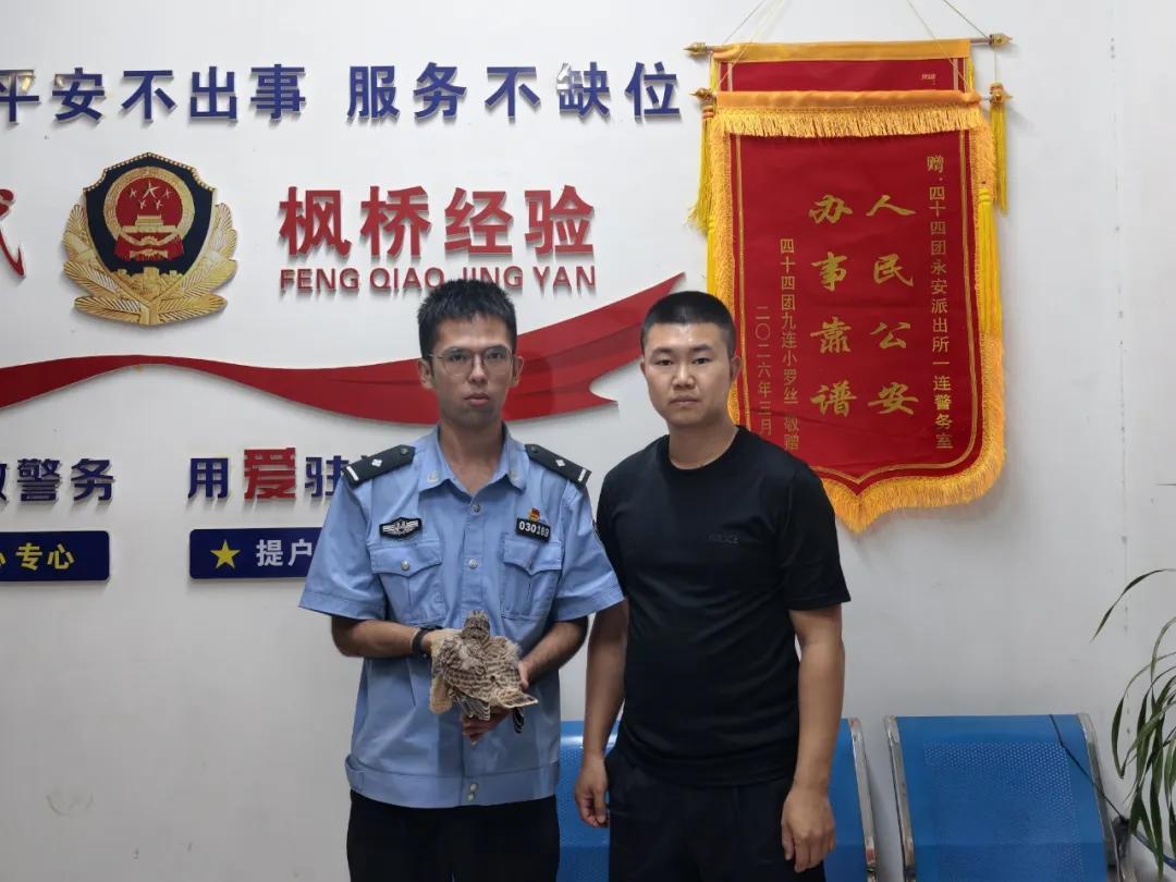 棕尾鵟不“狂”，红隼不“损”，它们都懂“有困难找警察”！