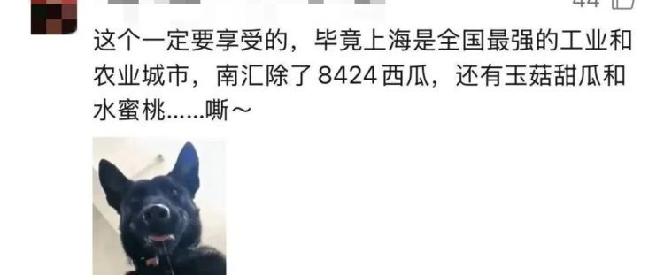 上海竟有两条“海潮路”？司机委屈，阿姨懵圈，最后在派出所里“吃瓜”吃出了真相！