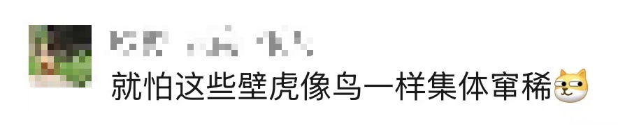 女子在三亚景区上厕所时，被满墙壁虎集体围观！景区回应