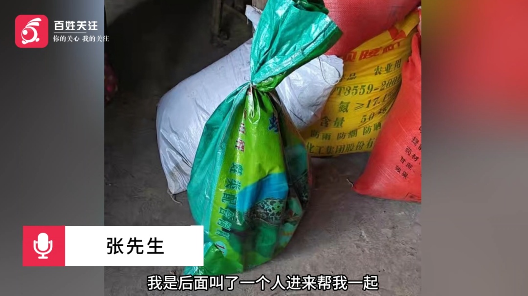 男子发现饲养鹦鹉莫名死亡，打开孵化箱瞬间头皮发麻！