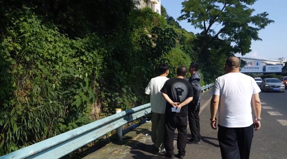 飞来横祸!货车行驶中天降大树,车损近万,司机:魂都吓飞了 飞来横祸!货车行驶中天降大树,车损近万,司机:魂都吓飞了