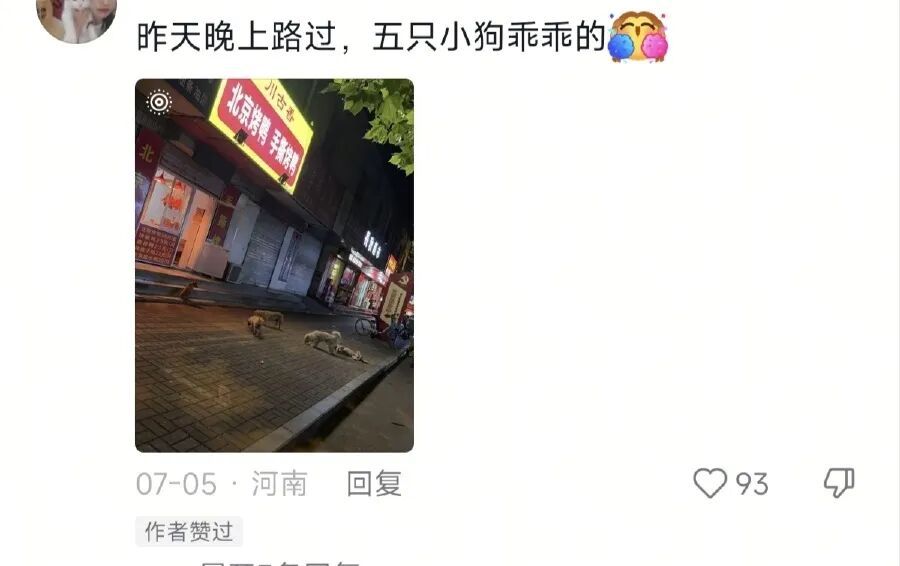 一烤鸭店每天第一波客人竟是汪汪队!5只小狗自觉排队等投喂 一烤鸭店每天第一波客人竟是汪汪队!5只小狗自觉排队等投喂