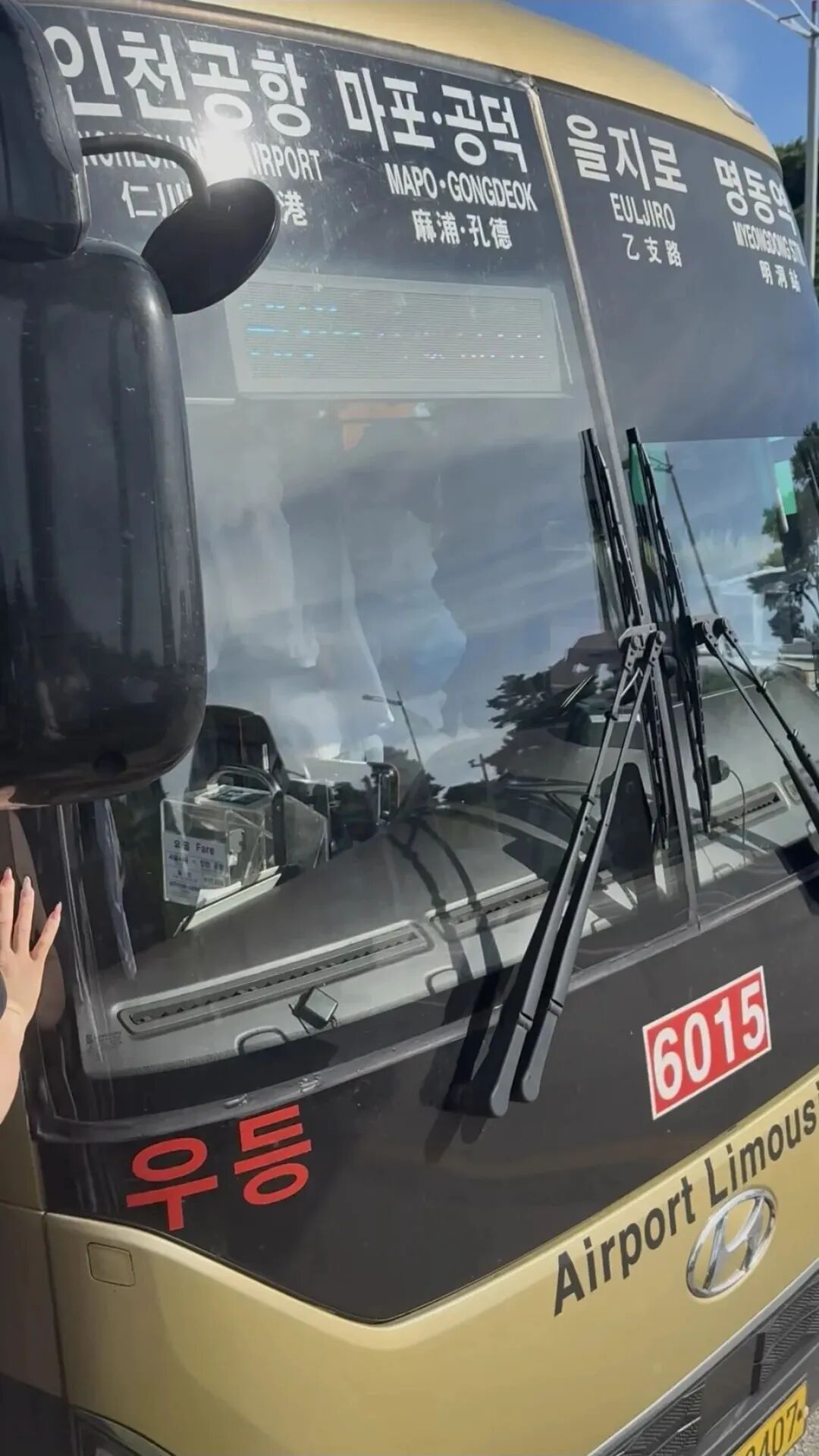 “紧急情况下,南京话飙出来了,刹住了刹住了!”3名中国女子在韩国机场大巴上合力救人,其中两人来自南京 “紧急情况下,南京话飙出来了,刹住了刹住了!”3名中国女子在韩国机场大巴上合力救人,其中两人来自南京