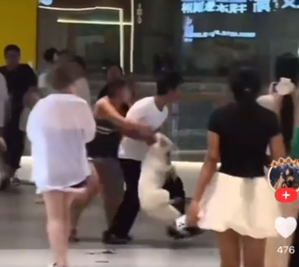 女子商场遛狗不拴绳引发冲突，遭一男子摔狗并扇耳光，律师：双方都违法！