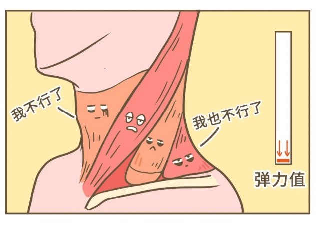 夏日落枕：空调房里的“温柔一刀”