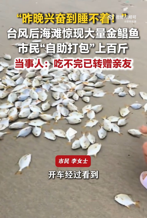 吃不完根本吃不完！广东有人捡了100多斤，专家提醒