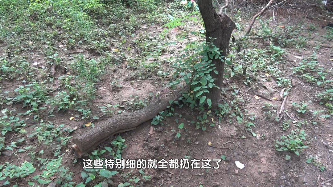 北京警方：张某，刑事拘留!