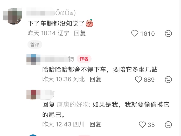 杭州地铁上被警犬“打”了两站路？网友：按摩得付费