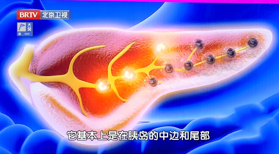 这把“长寿菜”,一吃健骨骼,二吃护肝脏,三吃强免疫!尤其适合三高人群 这把“长寿菜”,一吃健骨骼,二吃护肝脏,三吃强免疫!尤其适合三高人群