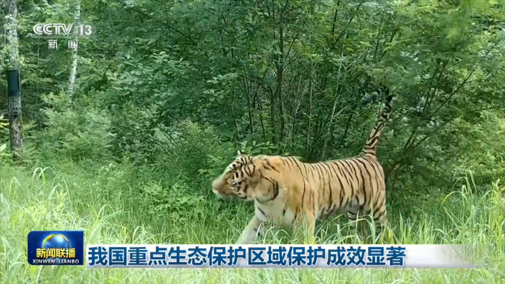 我国重点生态保护区域保护成效显著