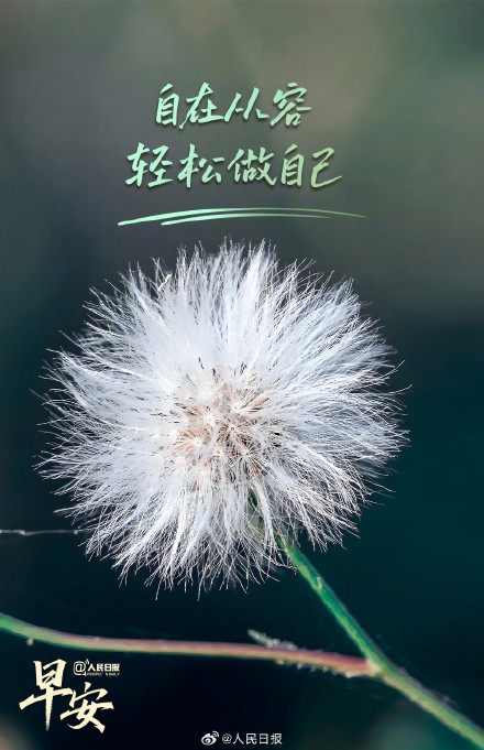 把心放宽,拥抱生活中的小惊喜 把心放宽,拥抱生活中的小惊喜