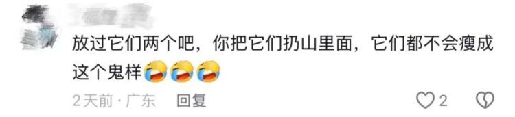 “头一次用骨瘦如柴形容猪”!“排骨猪”火了!网友自嘲:猪都能瘦,就我瘦不了…… “头一次用骨瘦如柴形容猪”!“排骨猪”火了!网友自嘲:猪都能瘦,就我瘦不了……