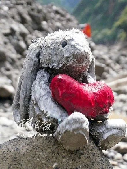 西藏泥石流灾难中最让人心酸的一幕