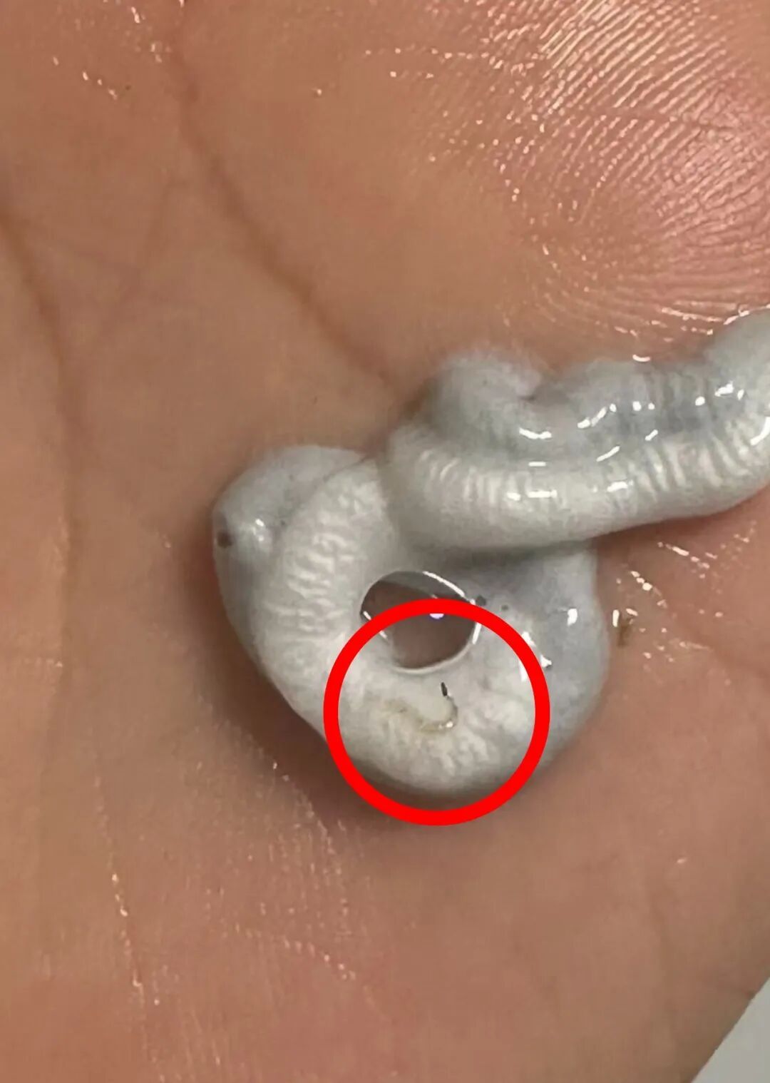 洗面奶第三次使用发现活虫?已做退货退款处理,品牌方:目前正在进行内外部双重检测 洗面奶第三次使用发现活虫?已做退货退款处理,品牌方:目前正在进行内外部双重检测