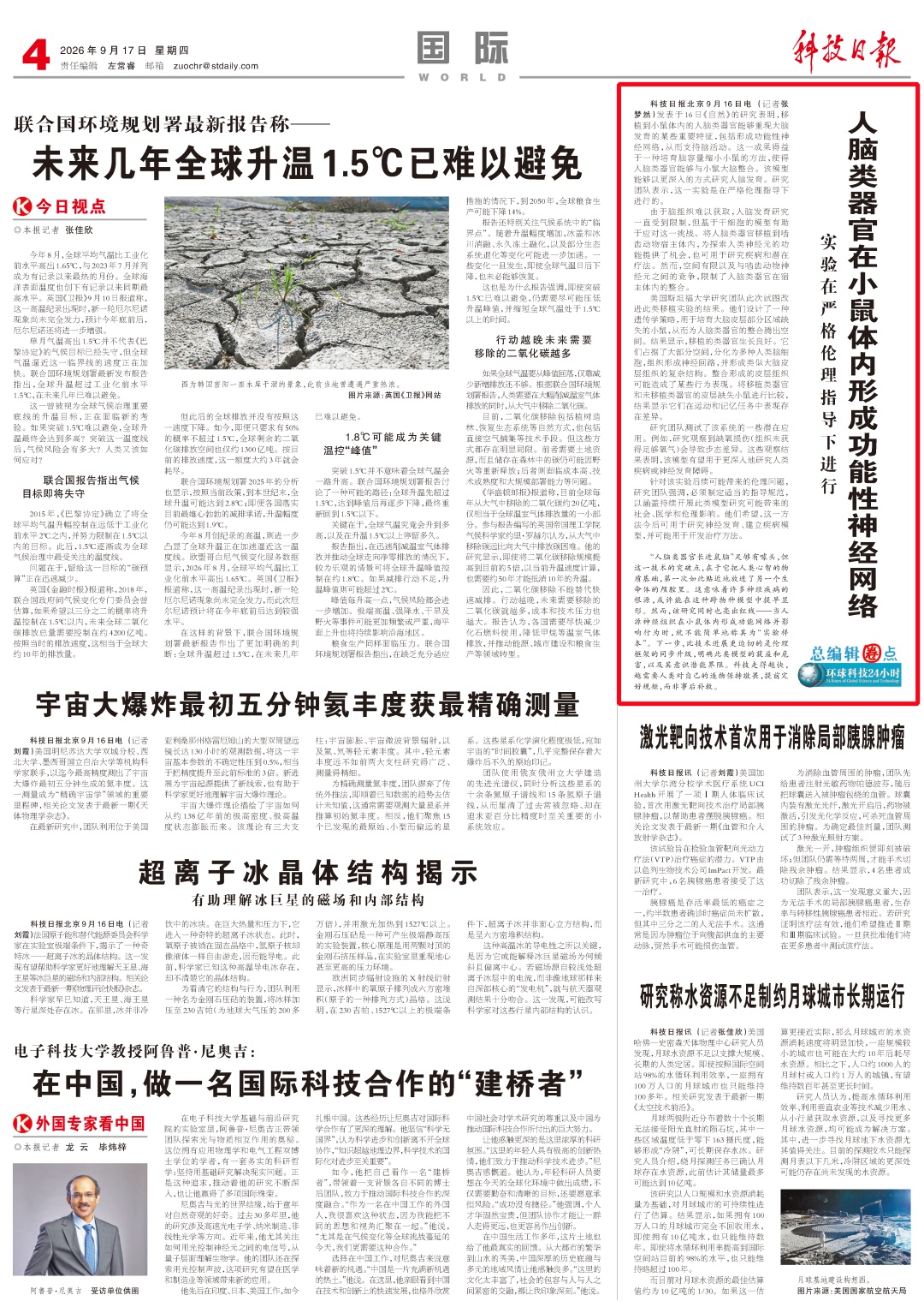人脑类器官“长进”鼠脑!但比技术进展更迫切的是→ 人脑类器官“长进”鼠脑!但比技术进展更迫切的是→