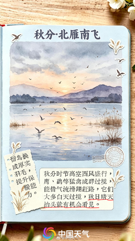 节气手账 | 秋分至,寒暑平 节气手账 | 秋分至,寒暑平