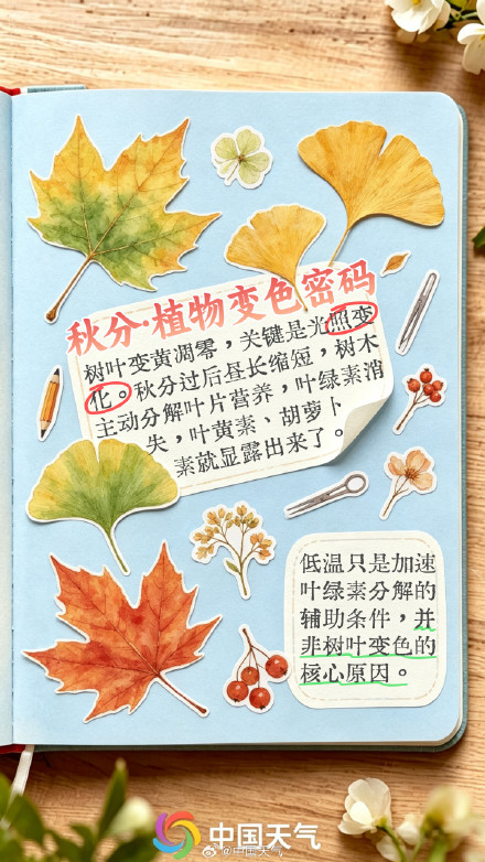 节气手账 | 秋分至,寒暑平 节气手账 | 秋分至,寒暑平
