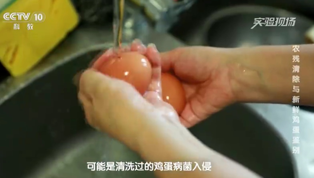 一家三口吃清洗过的鸡蛋后中毒？专家：买回来的鸡蛋千万别洗！如何正确保存→