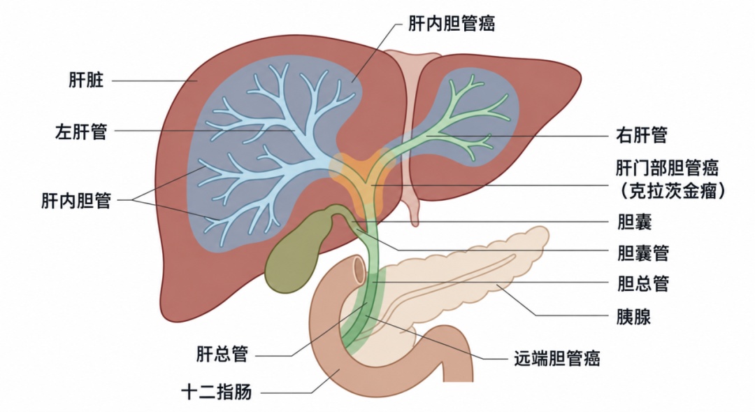 这个，劝你一口别吃！