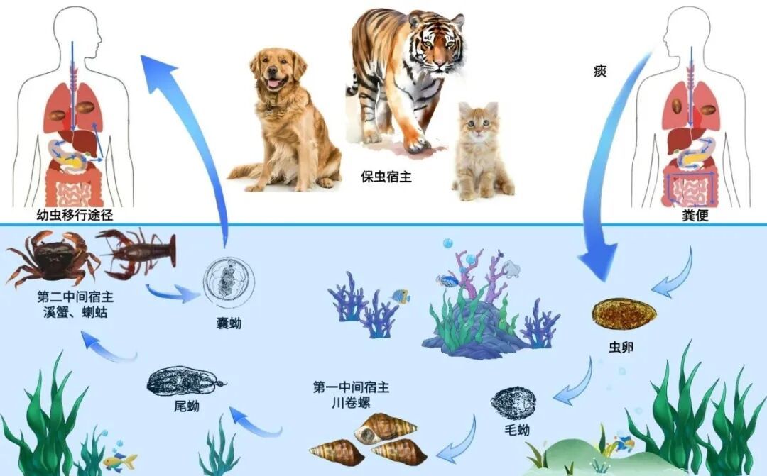 这个，劝你一口别吃！