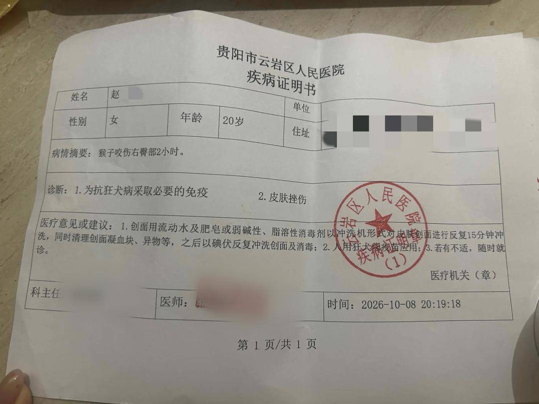 女子在黔灵山公园被猴子咬伤右臀,景区回应:可报销疫苗费用,日常会驱赶主干道聚集猴群 女子在黔灵山公园被猴子咬伤右臀,景区回应:可报销疫苗费用,日常会驱赶主干道聚集猴群