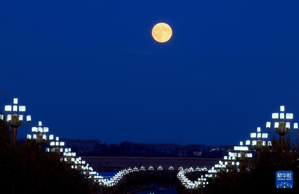 年度最大满月现身夜空