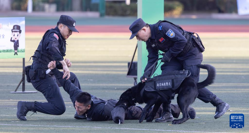 第六届全国警犬技术比赛圆满收官