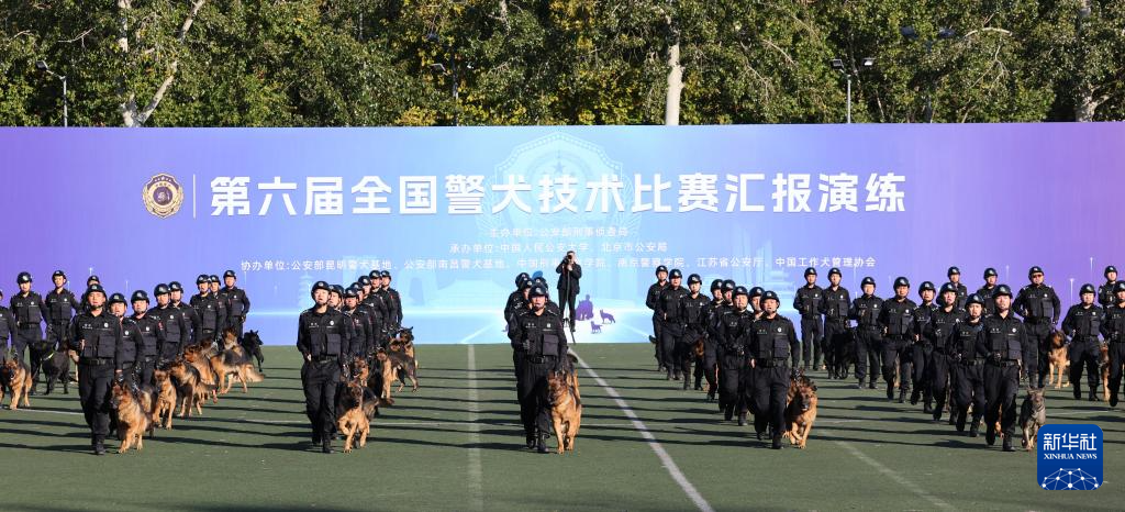 第六届全国警犬技术比赛圆满收官