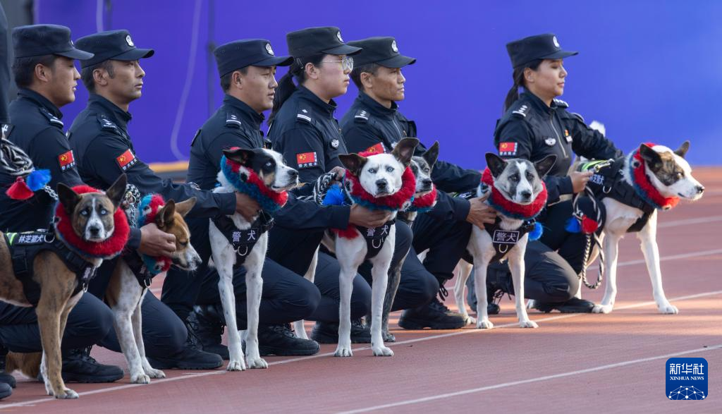 第六届全国警犬技术比赛圆满收官