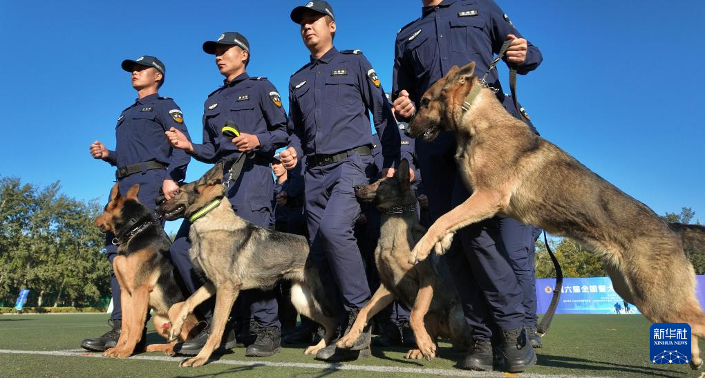 第六届全国警犬技术比赛圆满收官