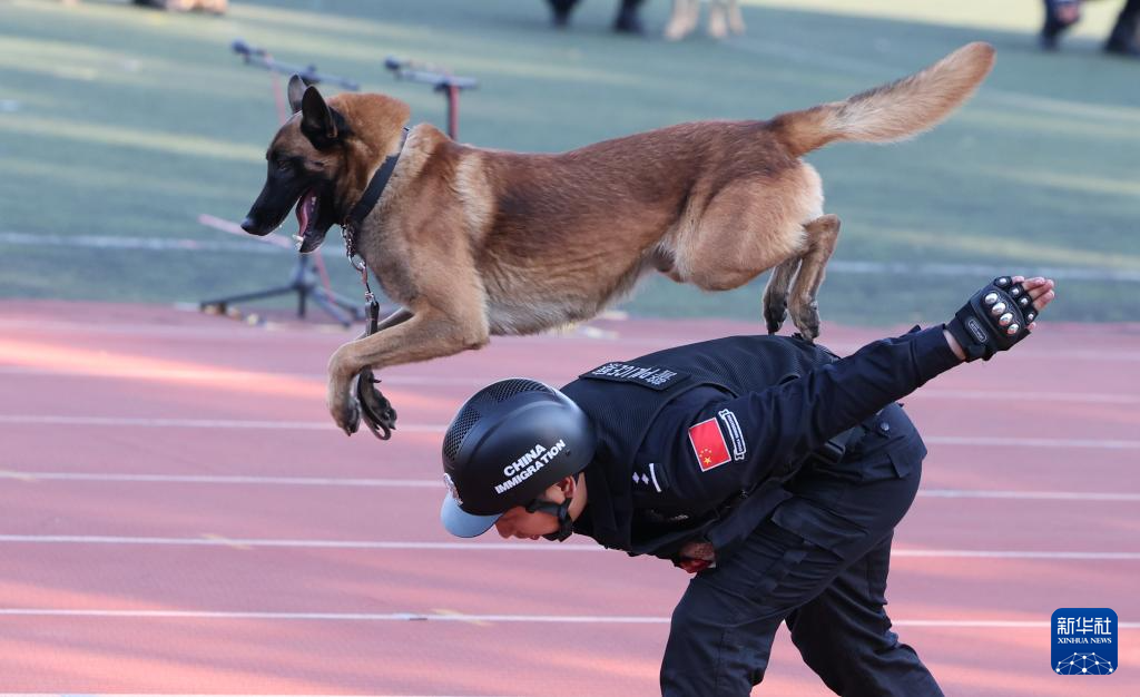 第六届全国警犬技术比赛圆满收官