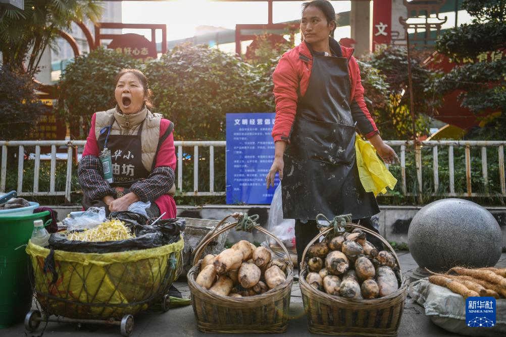 这趟城乡公交，载满人间烟火和城市温度