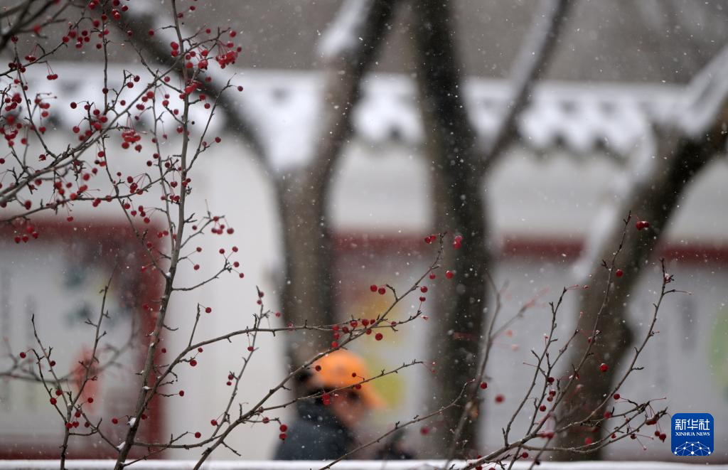 雪润高原