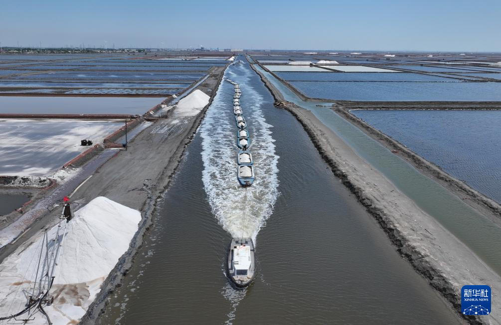 河北曹妃甸：春盐收获忙