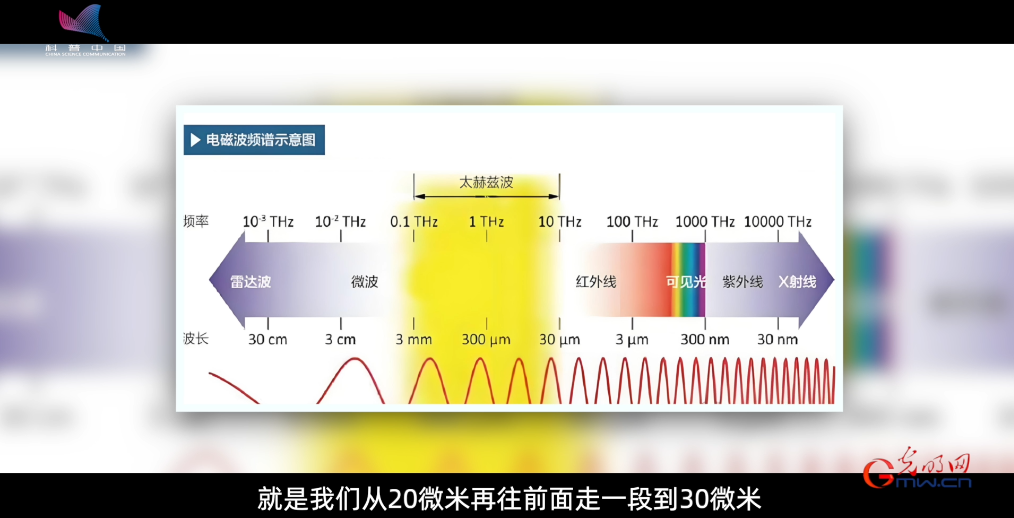 科学报国正当时｜肉眼看不见的世界长什么样？这个专业告诉你答案
