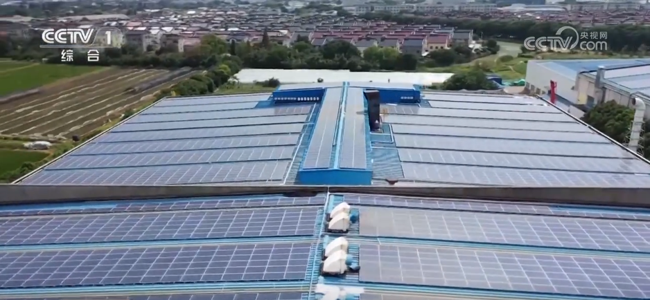 “新”字突出!各地不断打造人才培养新生态 激发高质量发展新动能