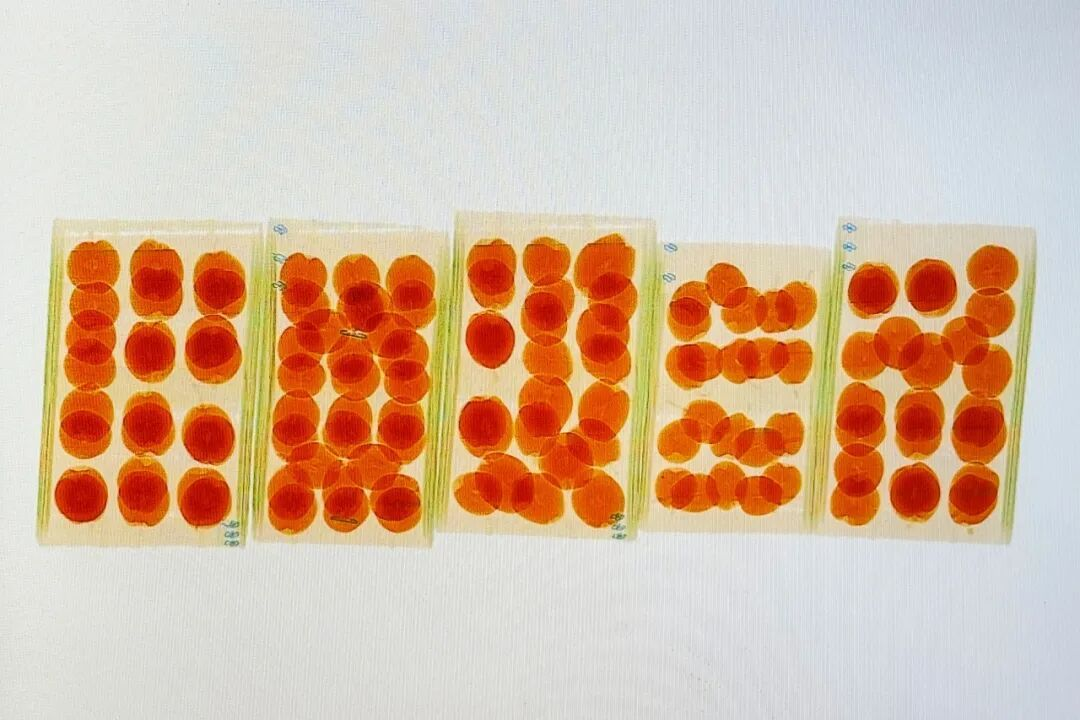 秋冬“续命水”不是奶茶,是它!吃对是药,吃错是寒!年轻人必备指南 秋冬“续命水”不是奶茶,是它!吃对是药,吃错是寒!年轻人必备指南